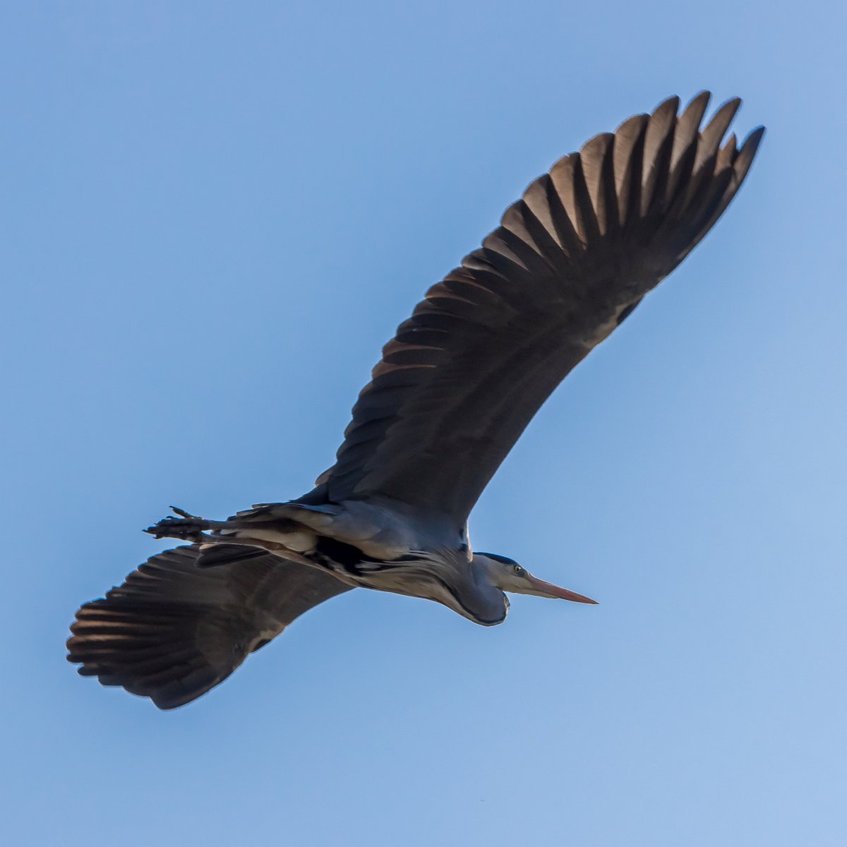 foto: [20220321PV6391]